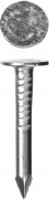 Гвозди с большой потайной головкой, оцинкованные, 25 х 3.0 мм, 5 кг, ЗУБР,  ( 305090-30-025 )